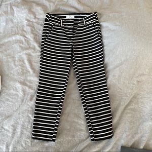 Ann Taylor Loft Skinny Ankle Pants